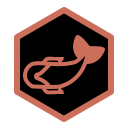 Koi 7